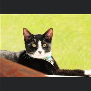 Meet your Posher, Marcella